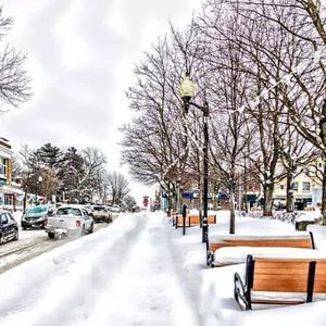 Meet your Posher, Pauline